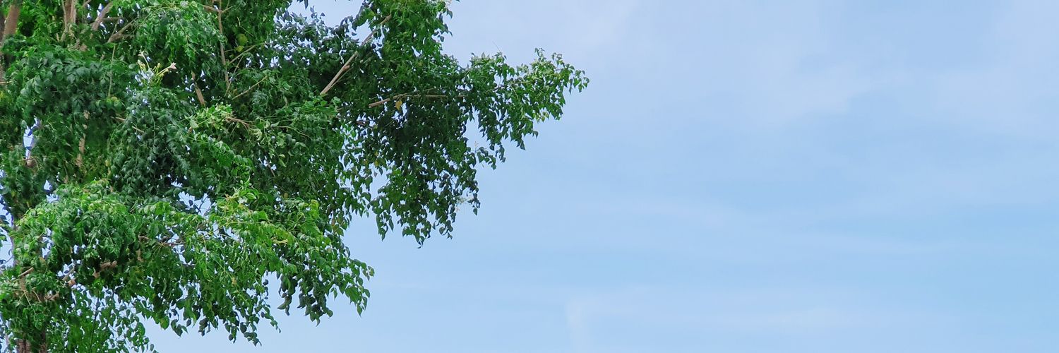 llphasall's profile banner image