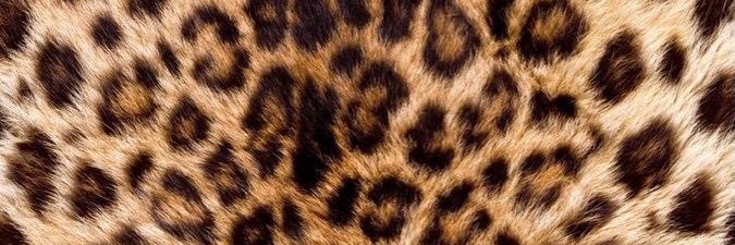 GODDESSSTASIE's profile banner image