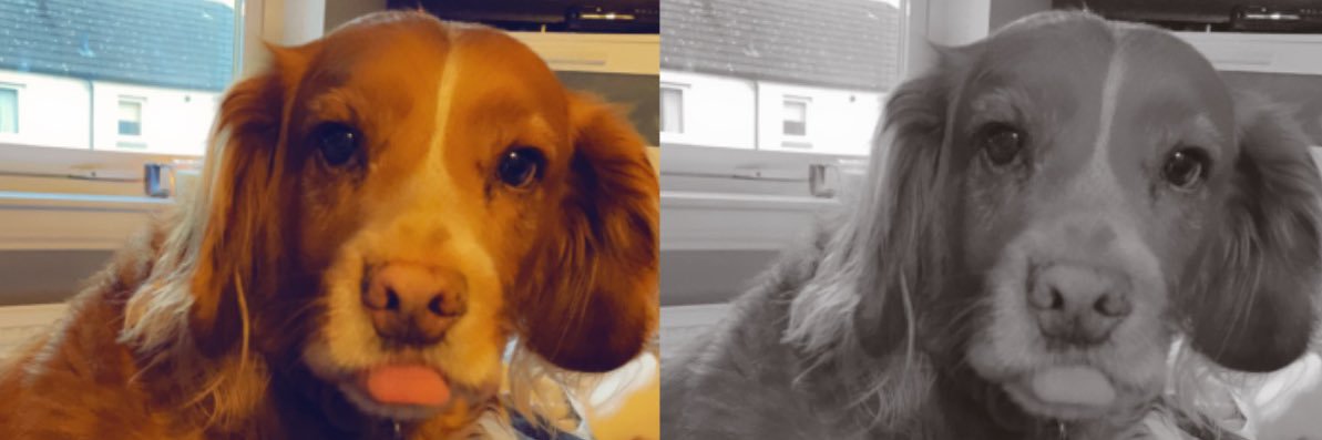 abbietobin11's profile banner image