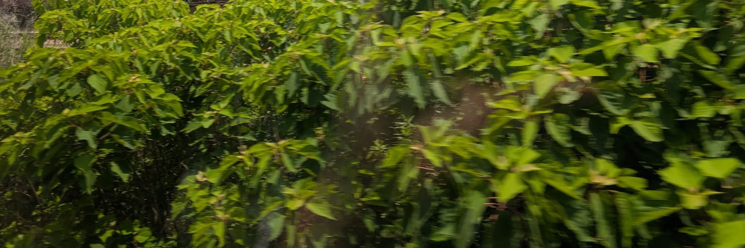 PaperlessTetsu's profile banner image