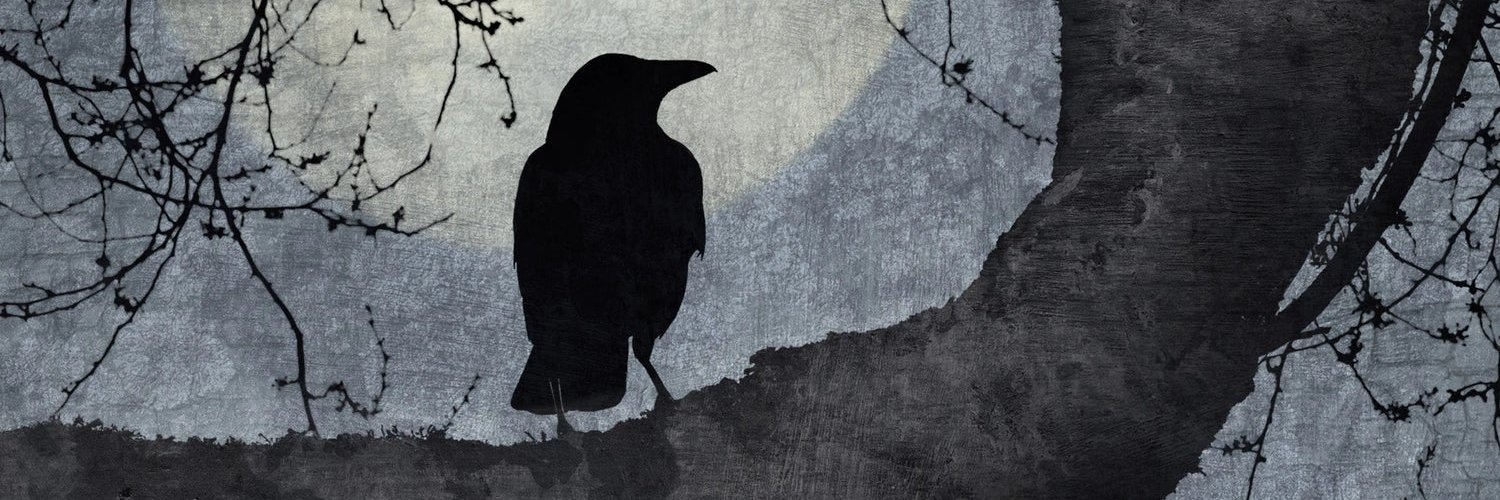Ｒａｖｅｎ． banner