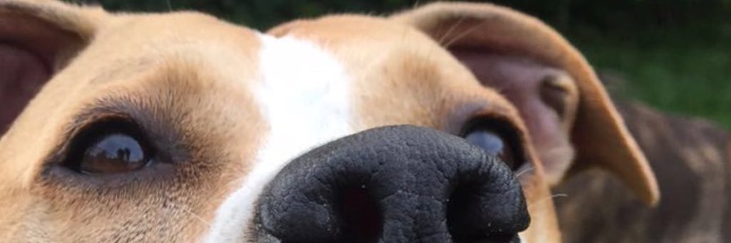 Alex_Drees2's profile banner image