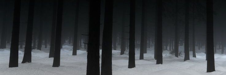 winriru_11's profile banner image