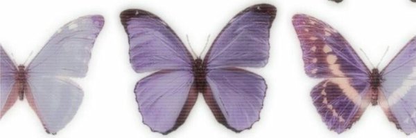 cosmicsamor Profile Banner