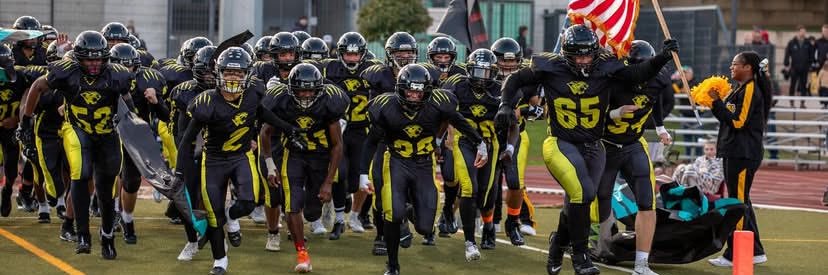 Stuttgart Panthers Football banner