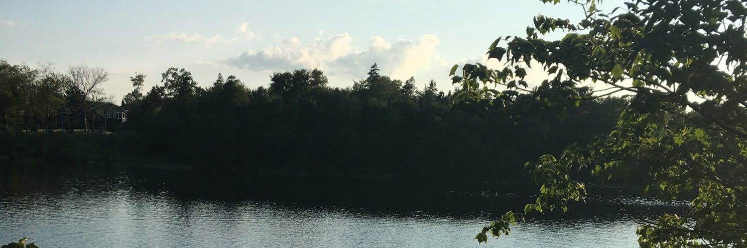 WarrenByTheSea's profile banner image