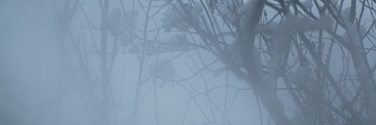 softipriv's profile banner image