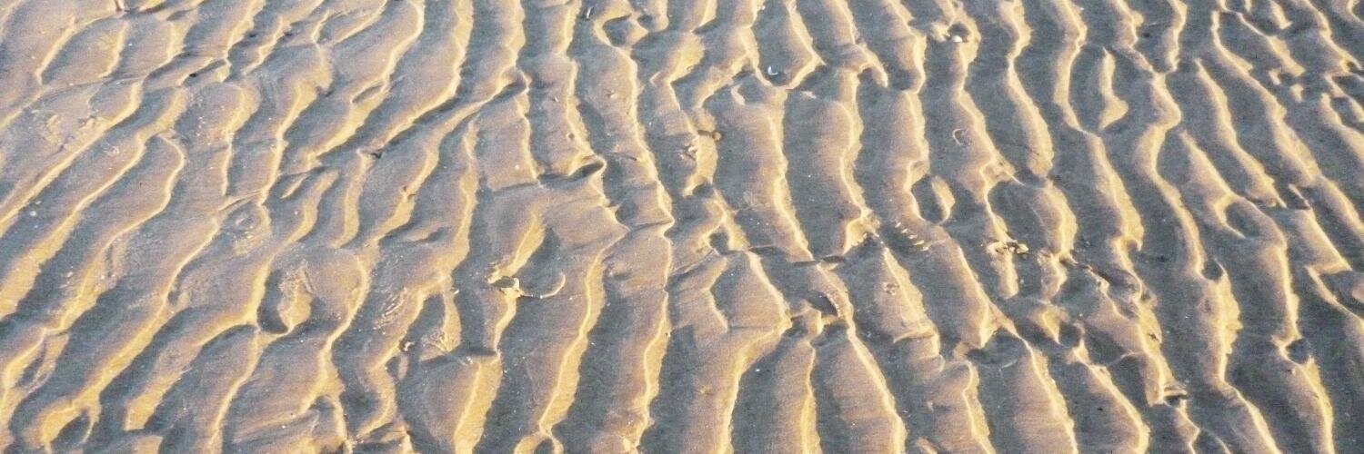 Rachel Howarth banner