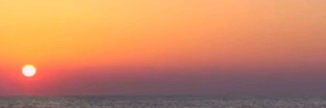 Bests1nceday1's profile banner image