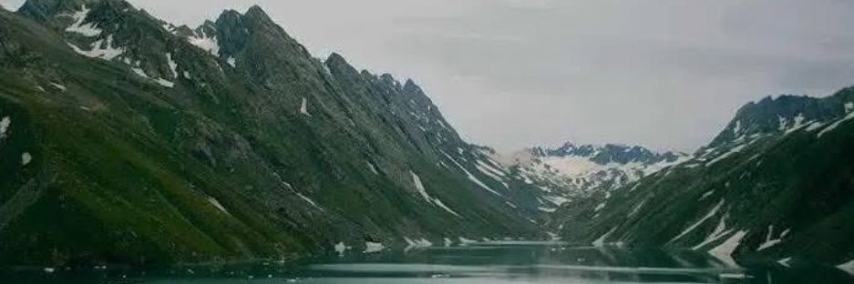 truesAdii's profile banner image