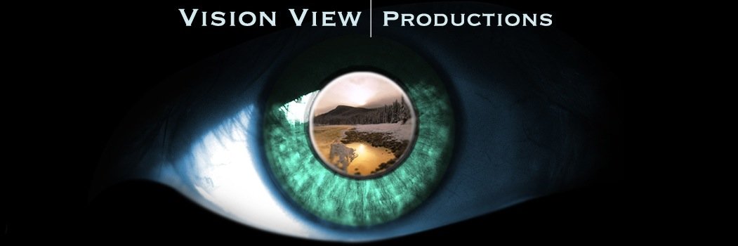 VV_Productions's profile banner image