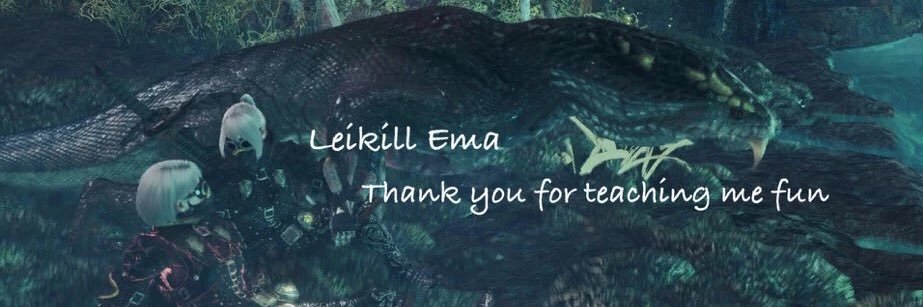 Leikill's profile banner image