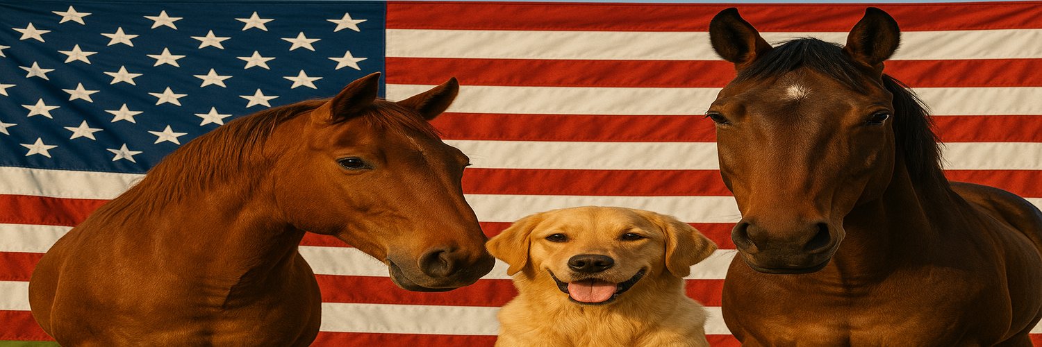 Triggered Patriot banner