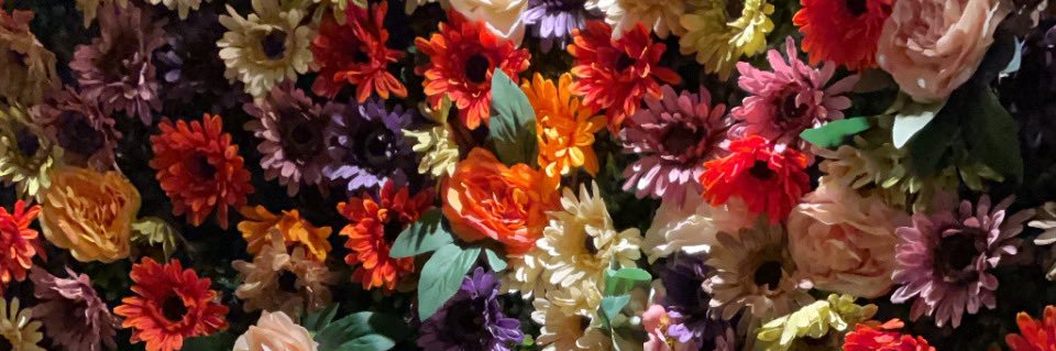 R🌻 banner