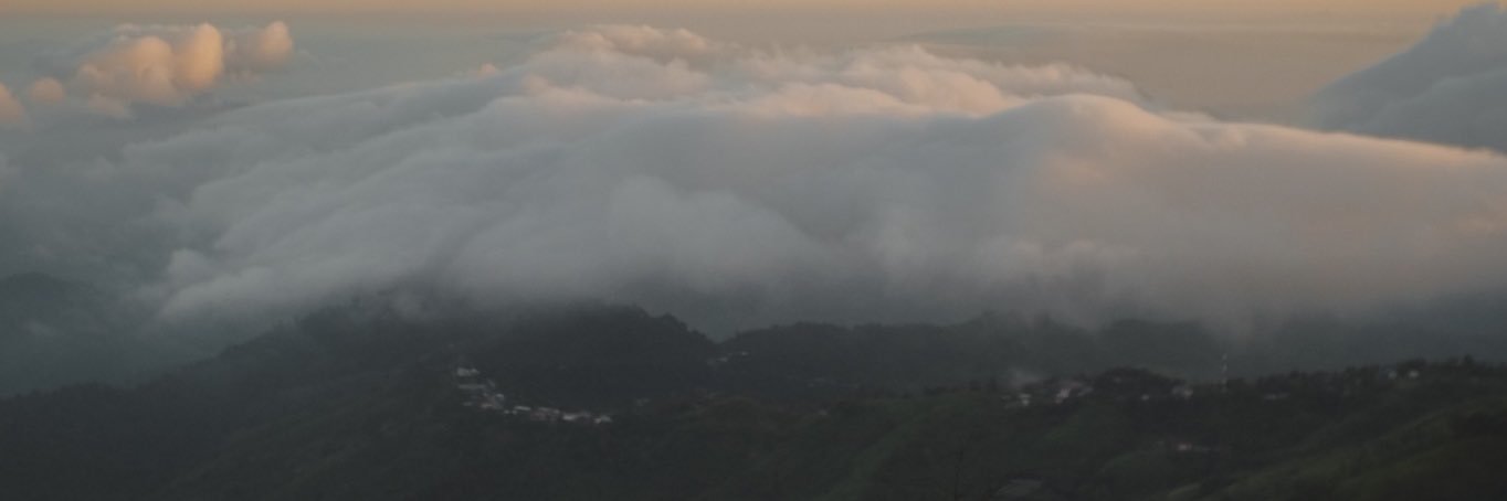 OILXZ's profile banner image