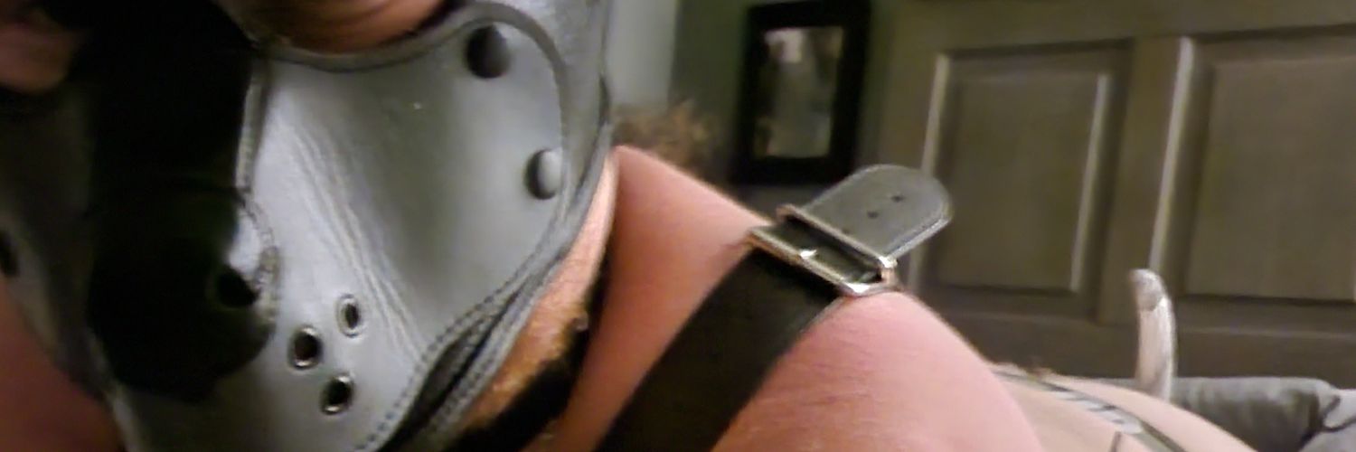 pupFerdinand's profile banner image