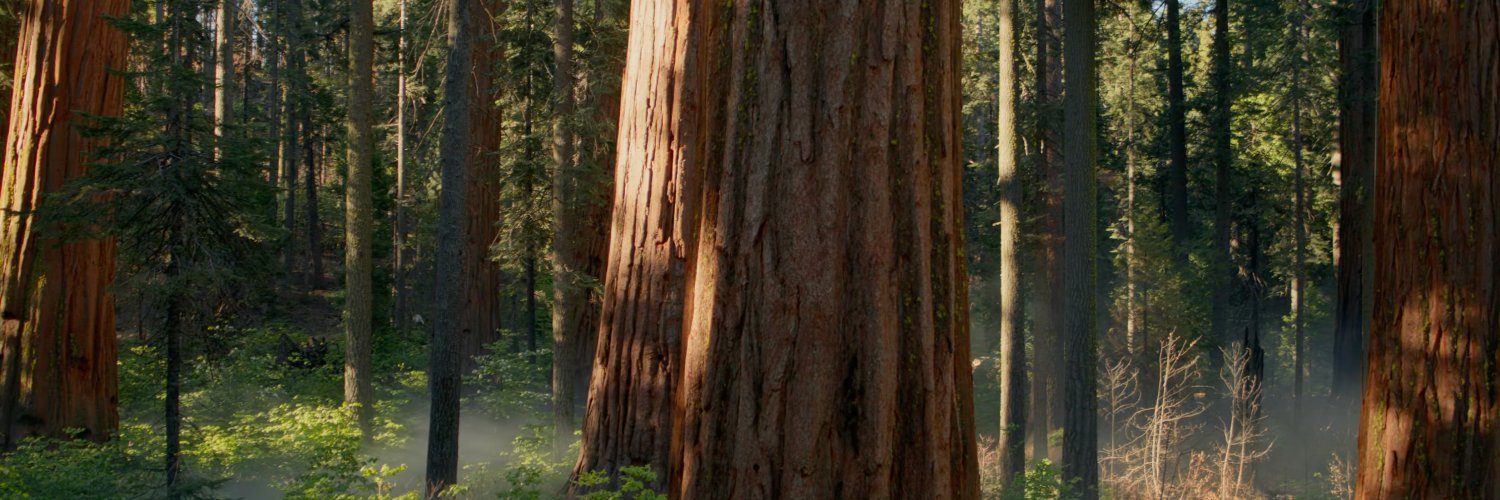 MB | Katana Alpha ⚔️ banner