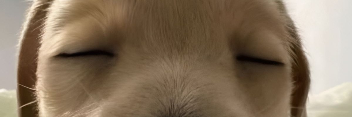 via u_u banner