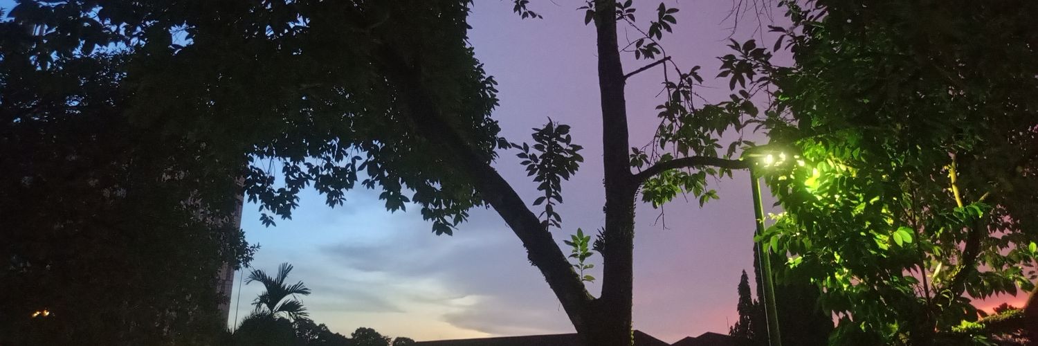 qsmzln's profile banner image