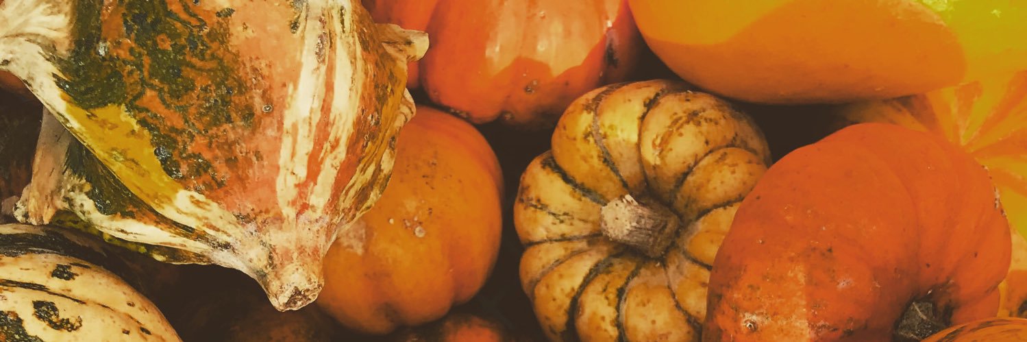 _pumpkin8's profile banner image
