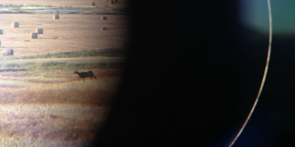 Carl4thLine's profile banner image
