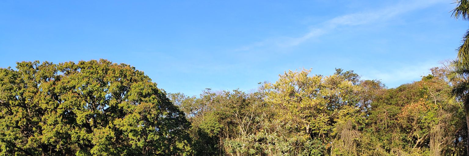 ata banner