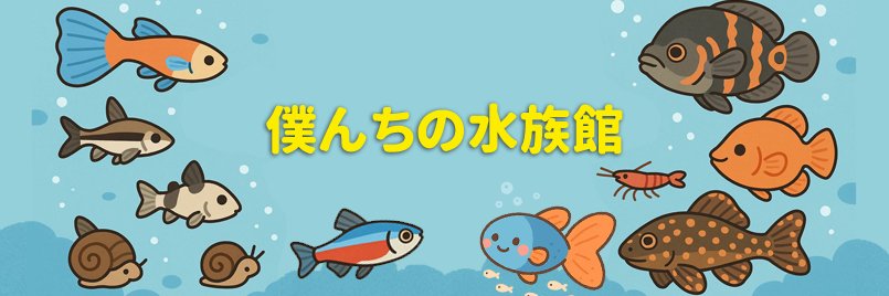 bokunchi_aqa's profile banner image