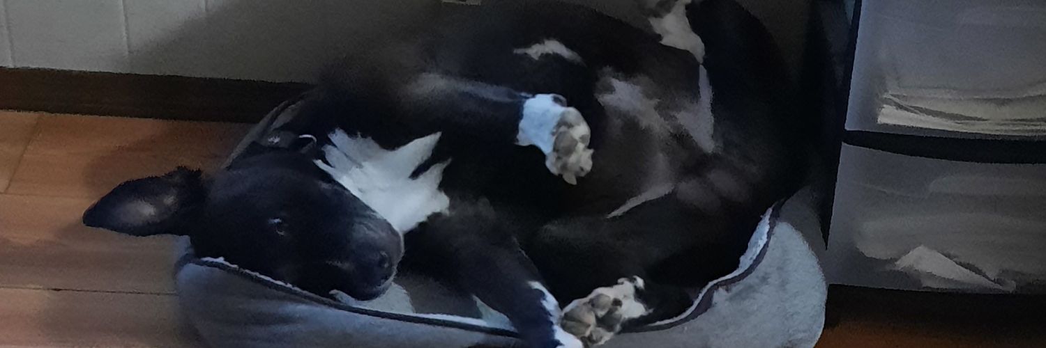 RandyBossert's profile banner image