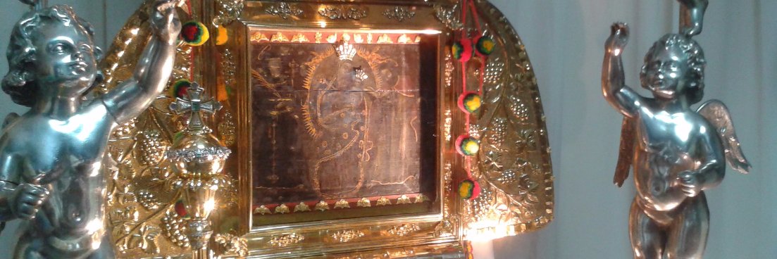 CIUDADANA VENEZOLANA banner