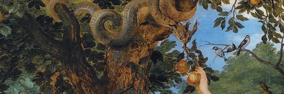 will o’ the wisp 🫧 banner
