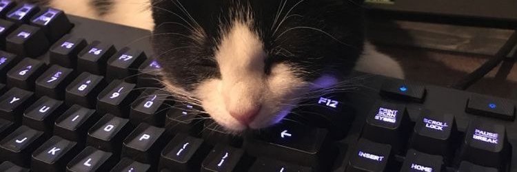 SrTiannn's profile banner image