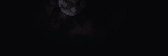 BLOODH0WLER's profile banner image