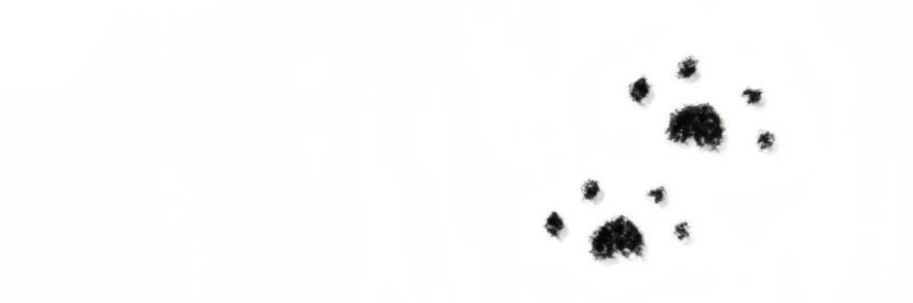 小星 banner
