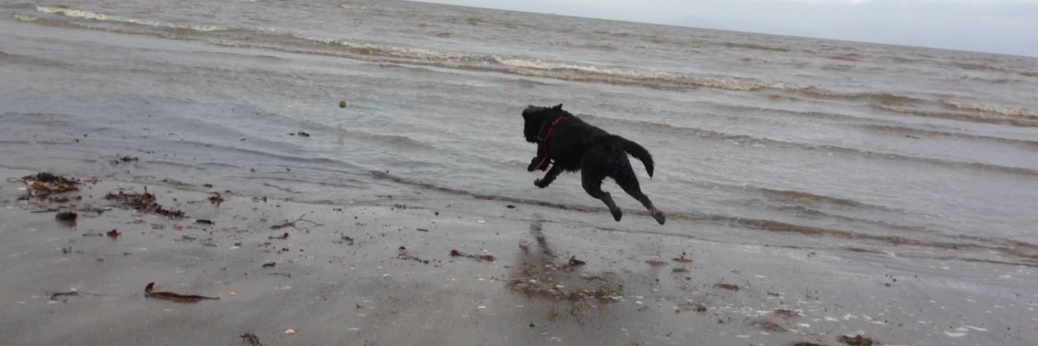 Mike Mitchell banner