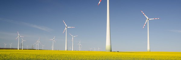 cisl_nature Profile Banner