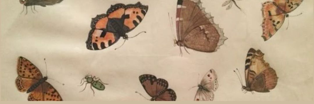 ˖ ˚ ･ ｡ banner