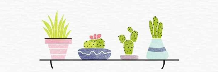 crvanesk's profile banner image