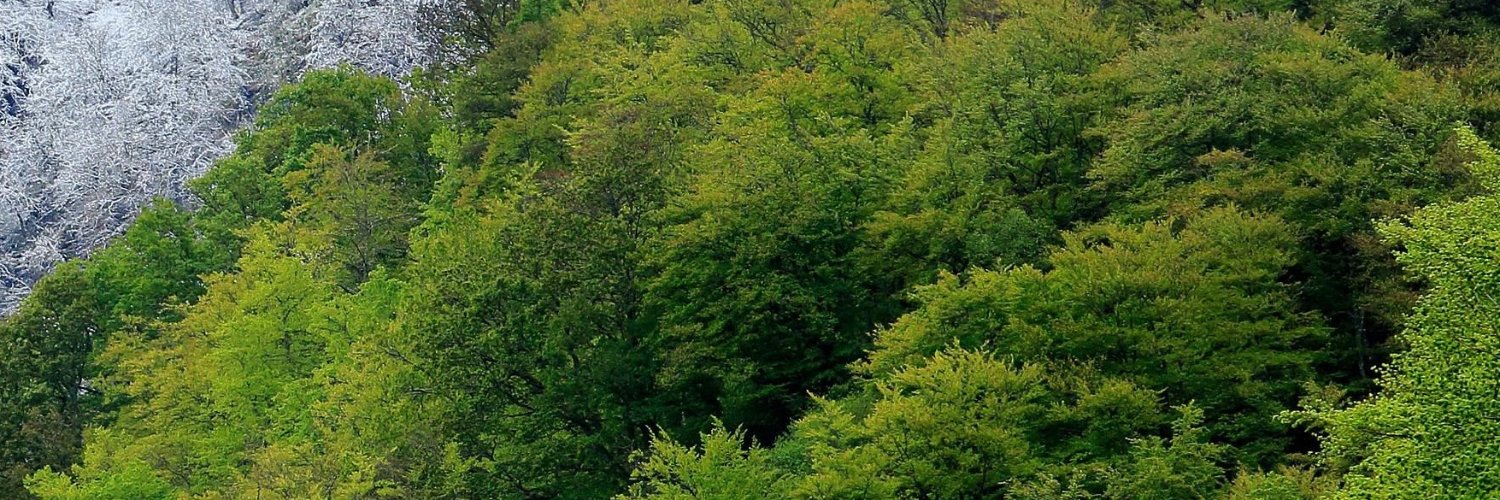 saw_cin21's profile banner image