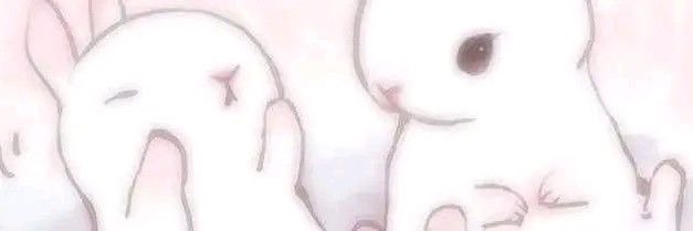 doni banner