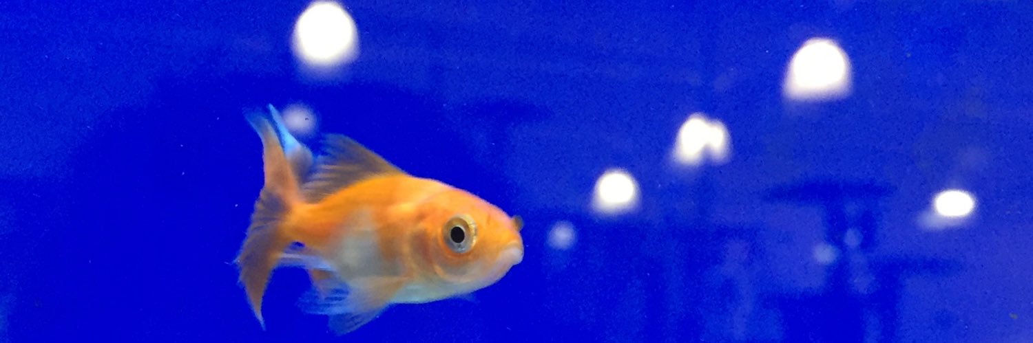 robwatkins's profile banner image