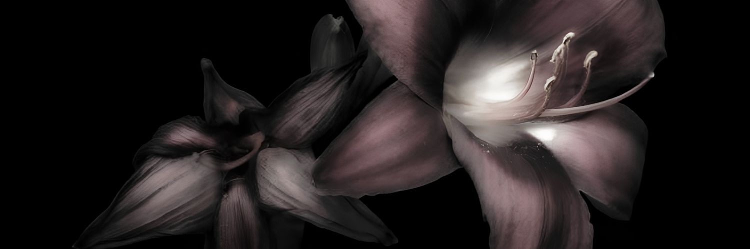 Anya banner