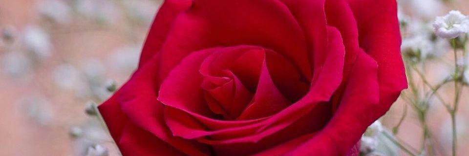 uhyg488's profile banner image