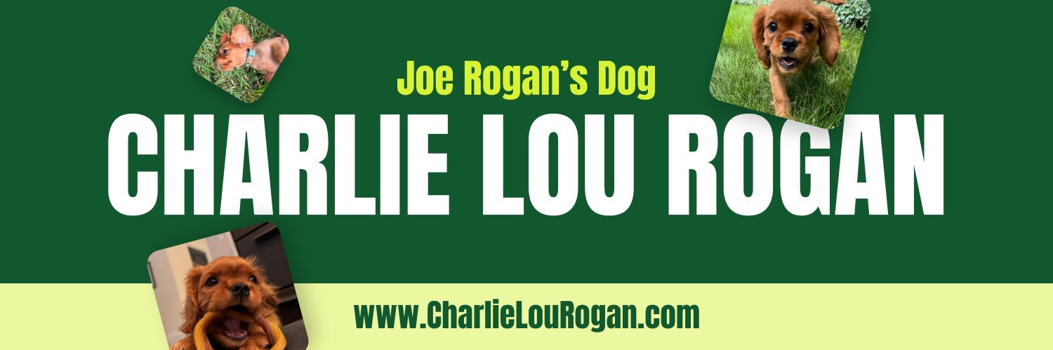 CharlieRoganSol's profile banner image