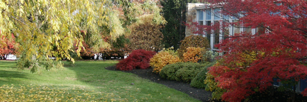 Michells1890 Profile Banner