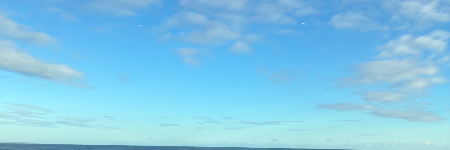 Prof Joanne Murphy banner