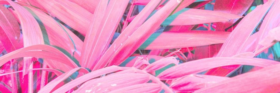 heijjade's profile banner image