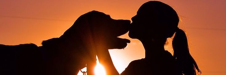 JessicaSim86312's profile banner image