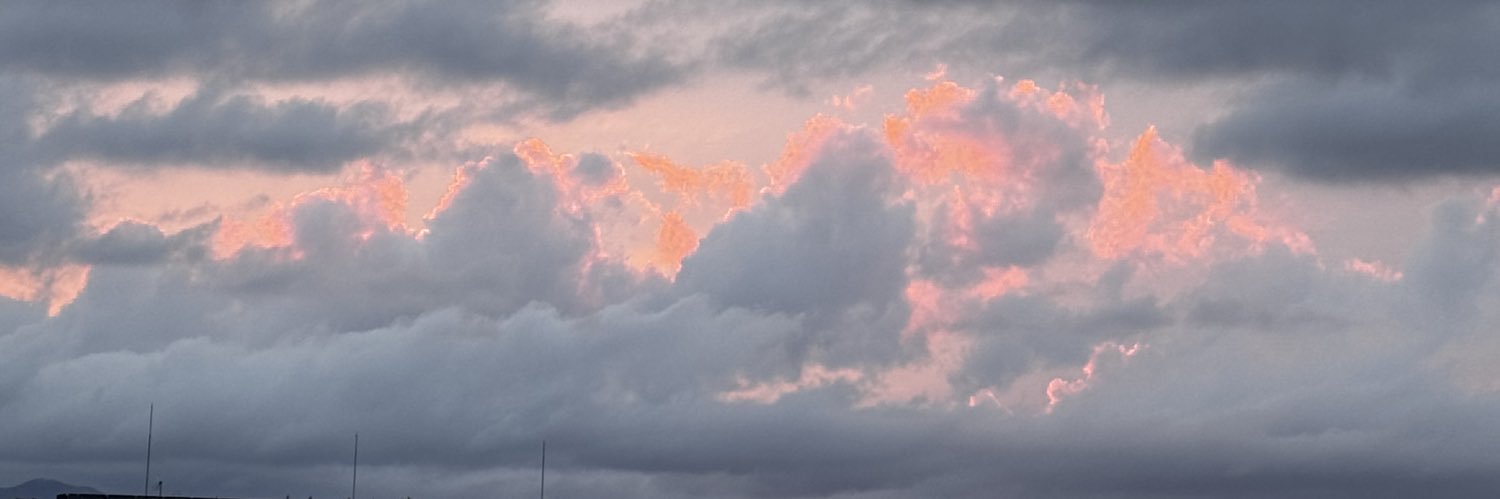 エビのカダイフ巻き banner