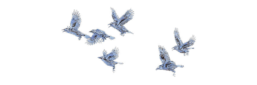 LibeiWinterWolf's profile banner image