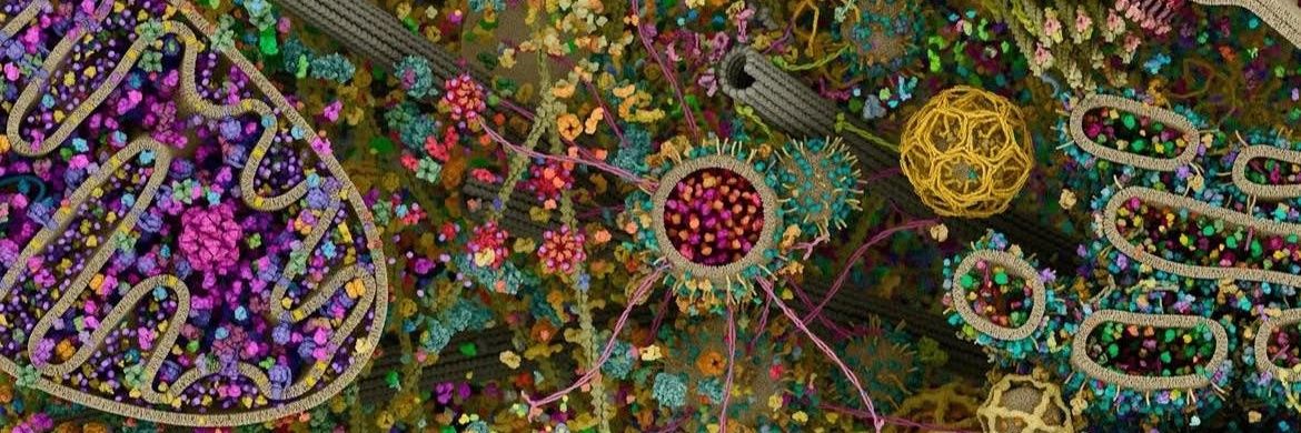 Zero Sinclair banner